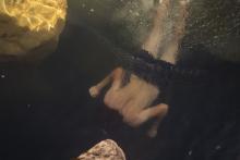 Sur la Terre comme au ciel Aide sélective CNC